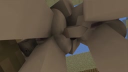 Minecraft Futa Sex Animation